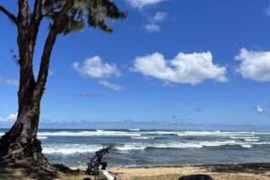 North Shore E-Bike Tours