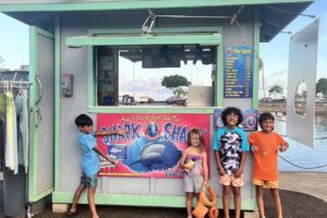 North Shore Shark Adventures
