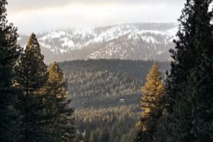 North Tahoe Nevada Welcome Center