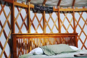 Northeast Whitewater Rafting & Moose Tours