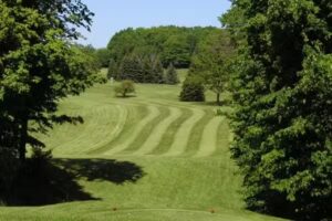 Northern Lights Vacations