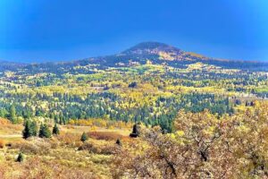 Northern New Mexico Welcome Center