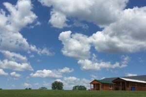 Northfork Farms & Outback, LLC