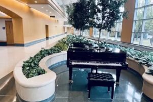 NorthShore University Health Systems – Travel Center