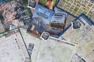 Not So Average Vacations Dream Vacations