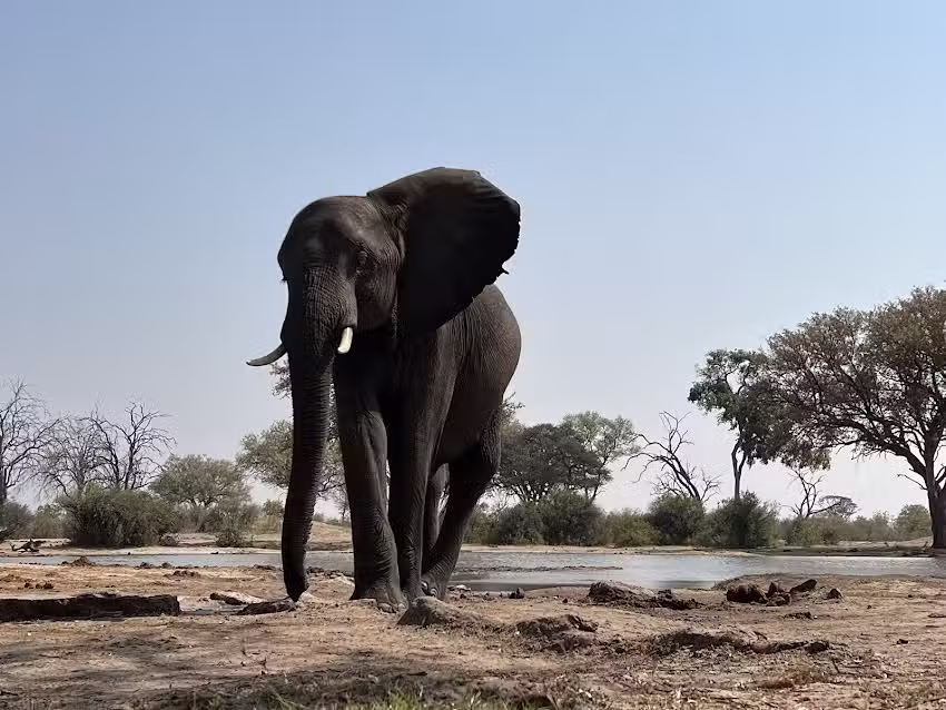 Ntaba African Safaris