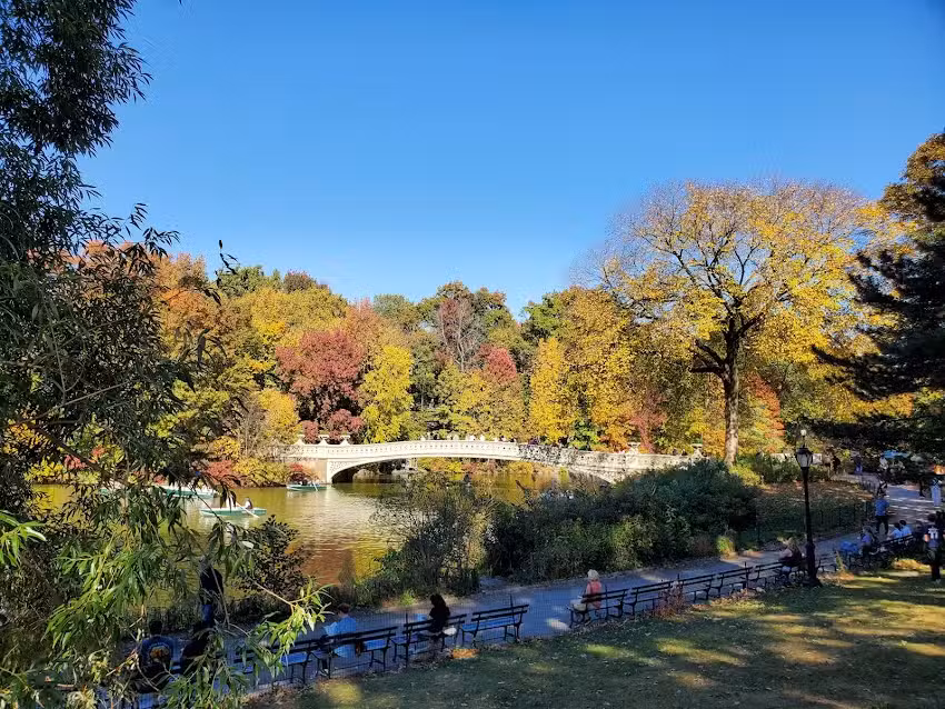 NYC Park Tours&trade; | Central Park Tours
