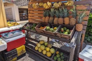 Oahu Circle Island Tours: Island & You