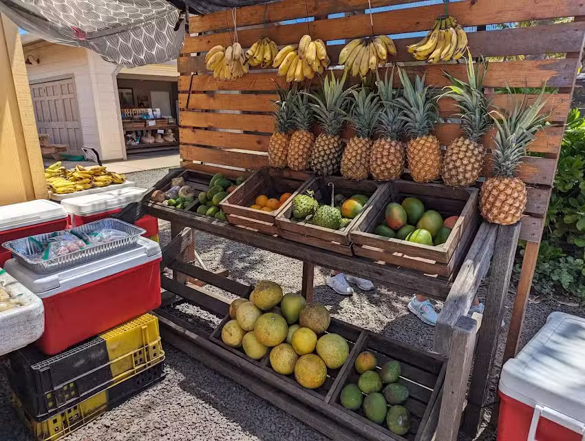 Oahu Circle Island Tours: Island & You