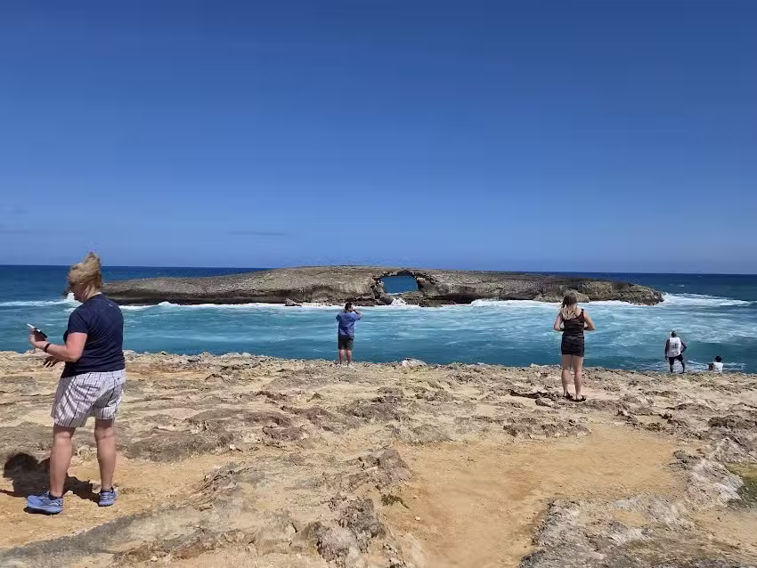 Oahu Half Day Tours