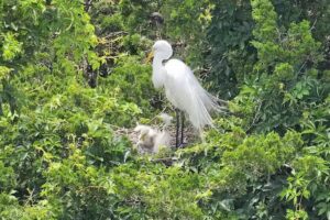 Ocean City Welcome & Information Center