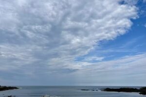 Ocean Dreams Vacation Rentals