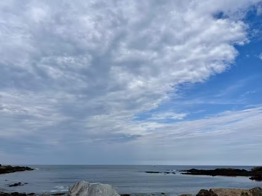 Ocean Dreams Vacation Rentals