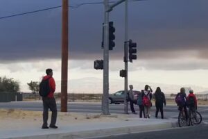 Ocean One Cruise Outlet