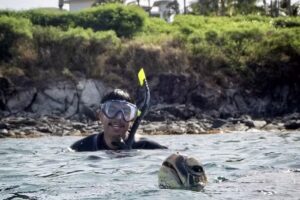 Ocean Project Maui – Private Snorkel Tours on Maui