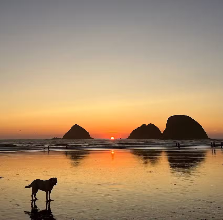 Oceanfront Cottage Vacation Rental