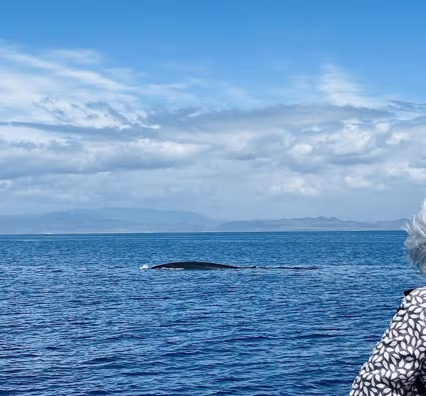 Oceanside Adventures