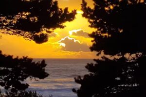 Oceanside Ocean Front Cabins