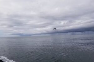 Oceanside SEA Center