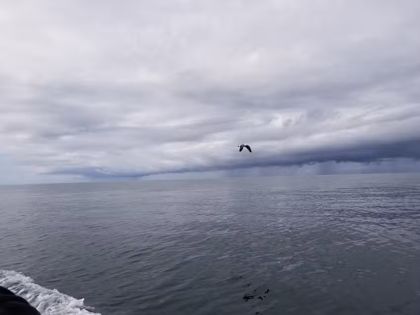 Oceanside SEA Center