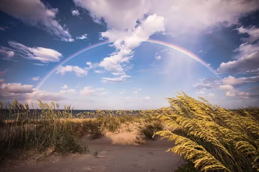 Ocracoke Tourism Development Authority
