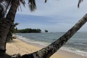 Odyssey Express Travel