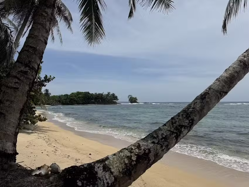 Odyssey Express Travel