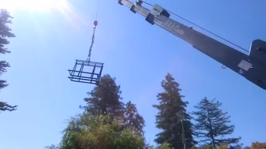 Oehlschlaeger Travel Services