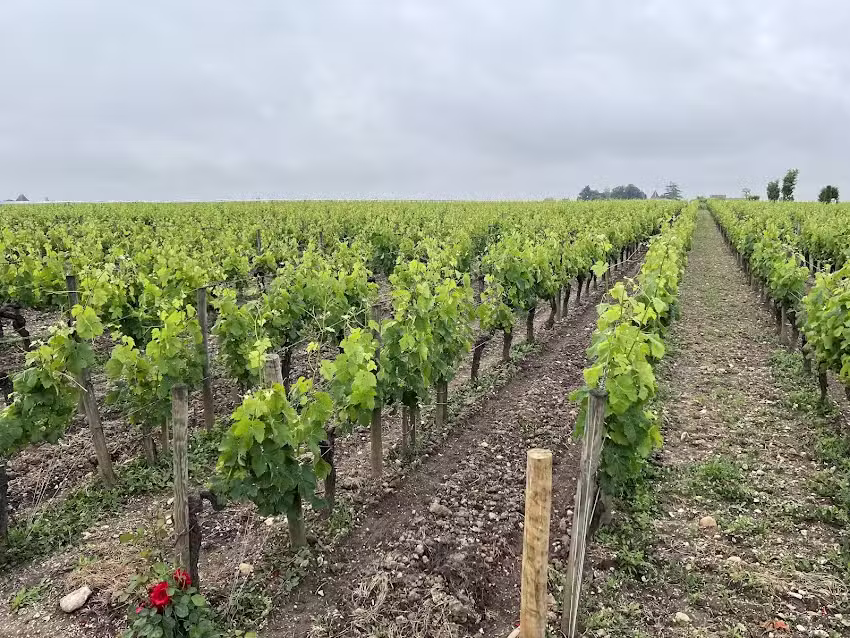 Off the Beaten Path, LLC