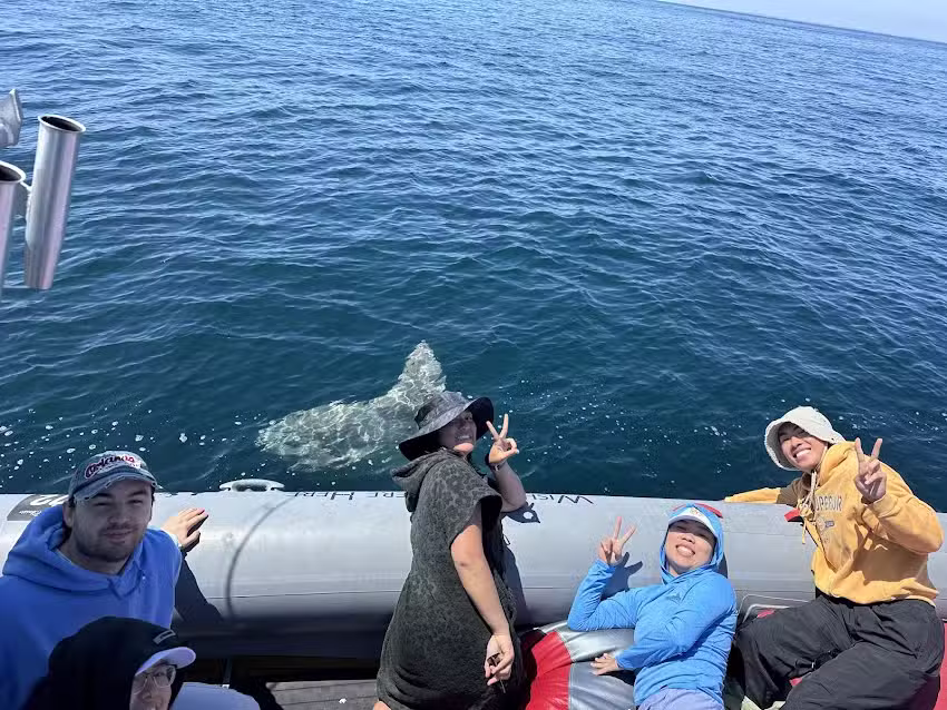 Off The Grid Private Boat Adventures &ndash; Dana Point