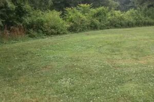 Ohio River Islands National Wildlife Refuge – Visitor Center