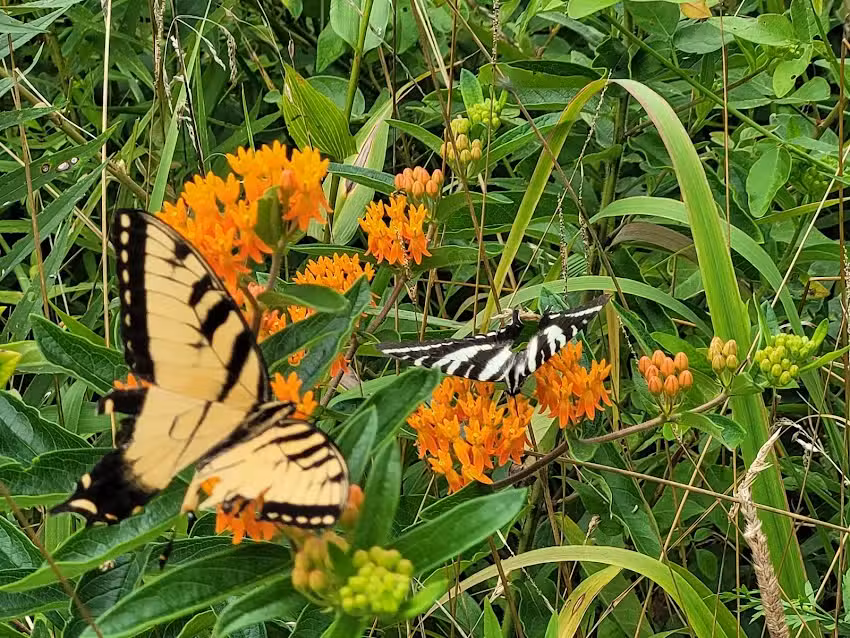Ohio River Islands National Wildlife Refuge &ndash; Visitor Center