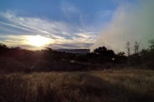 Ojai Valley Trail Riding Company