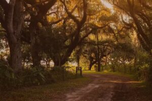 Okeechobee County Tourist Development Council