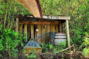 Okefenokee Swamp Park