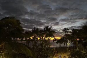 오케이 투어 하와이 (OK Tour & Travel LLC)