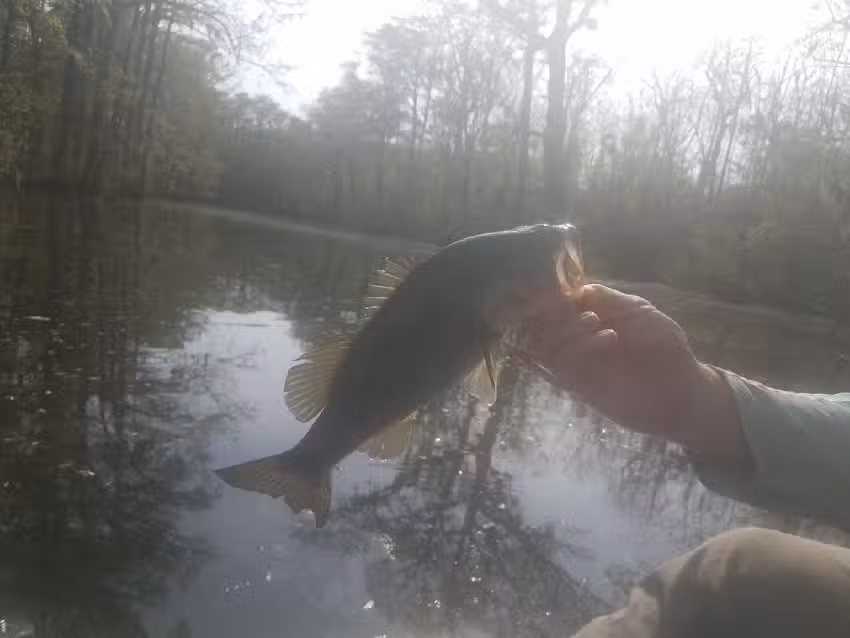 Old Dominion Expeditions