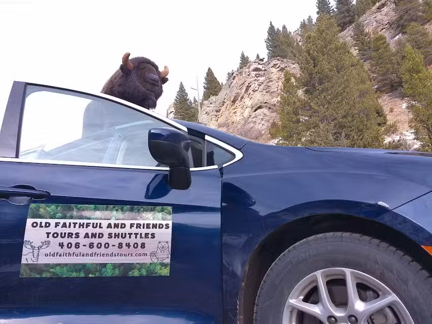 Old Faithful And Friends Tours-Taxi-Shuttle