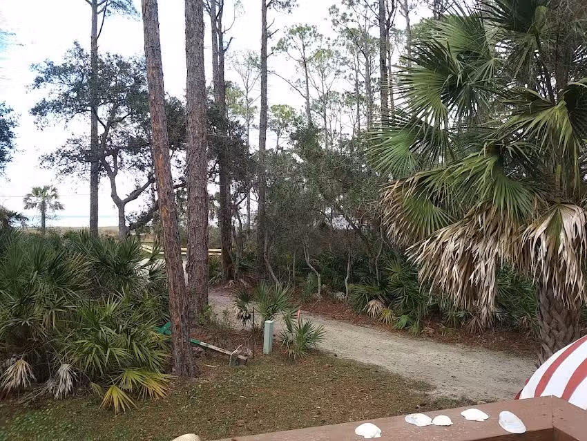 Old Saltworks Cabins