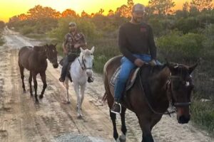 Olde Florida Scenic Trail Rides