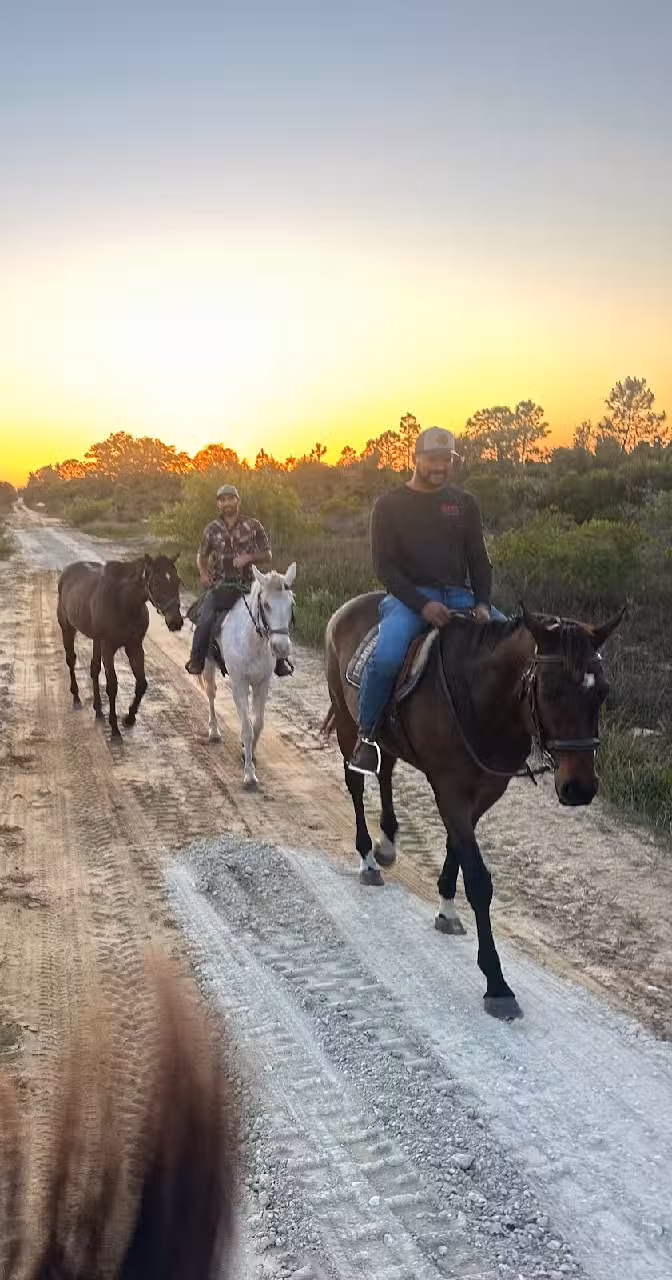 Olde Florida Scenic Trail Rides