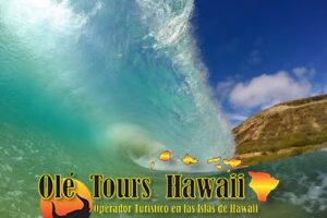Ole Tours Hawaii, LLC