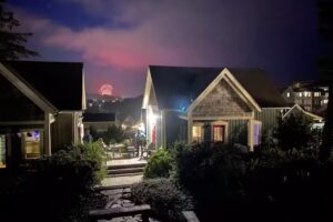 Olivia Beach Camp Cabins