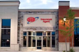 Olsen Central Michigan Insurance Agency, LLC