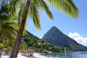 One Ideal Vacation CruiseOne