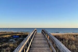 One Particular Harbor