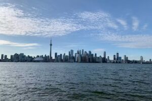 Open Palm Travel Co.