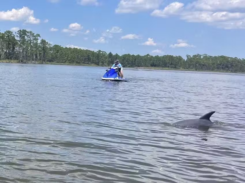 Orange Beach Private Family Dolphin Tours & Boating Safaris