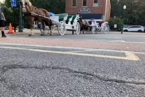 Orange Sky Carriage Rides LLC.