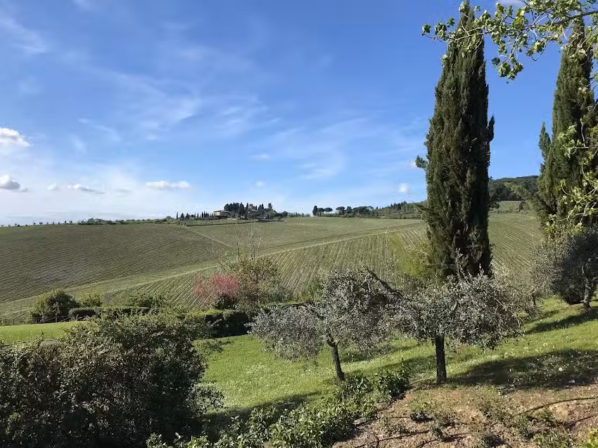 Ortensia Blu Travel Adventures